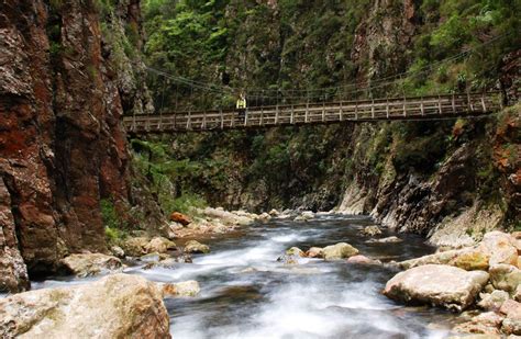 karangahake gorge new zealand.